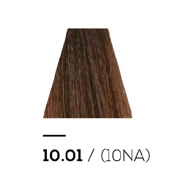 10.01 NATURAL ASH - KERATIN PLUS COLOR