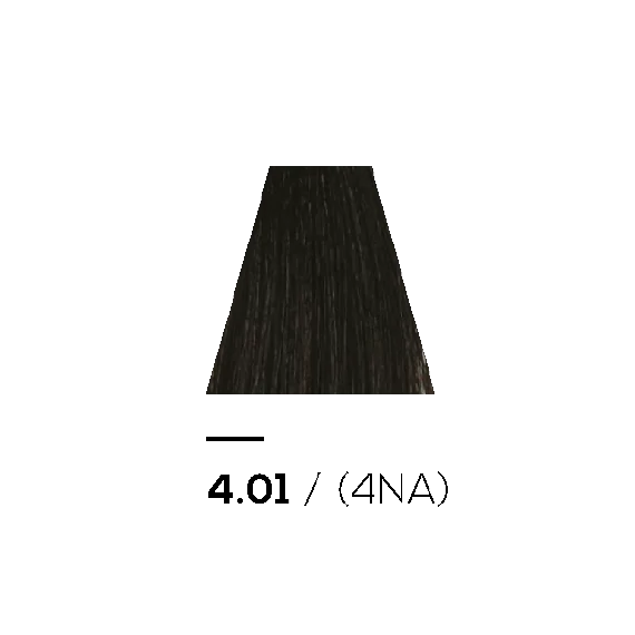4.01 NATURAL ASH - KERATIN PLUS COLOR