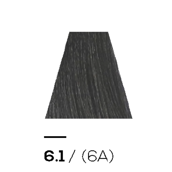 6.1 ASH - KERATIN PLUS COLOR