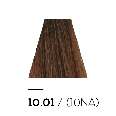 10.01 NATURAL ASH - KERATIN PLUS COLOR