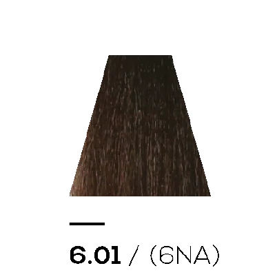 6.01 NATURAL ASH - KERATIN PLUS COLOR