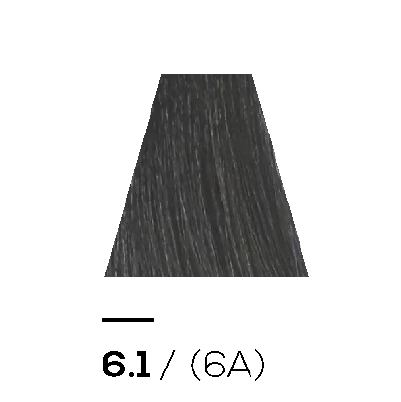 6.1 ASH - KERATIN PLUS COLOR